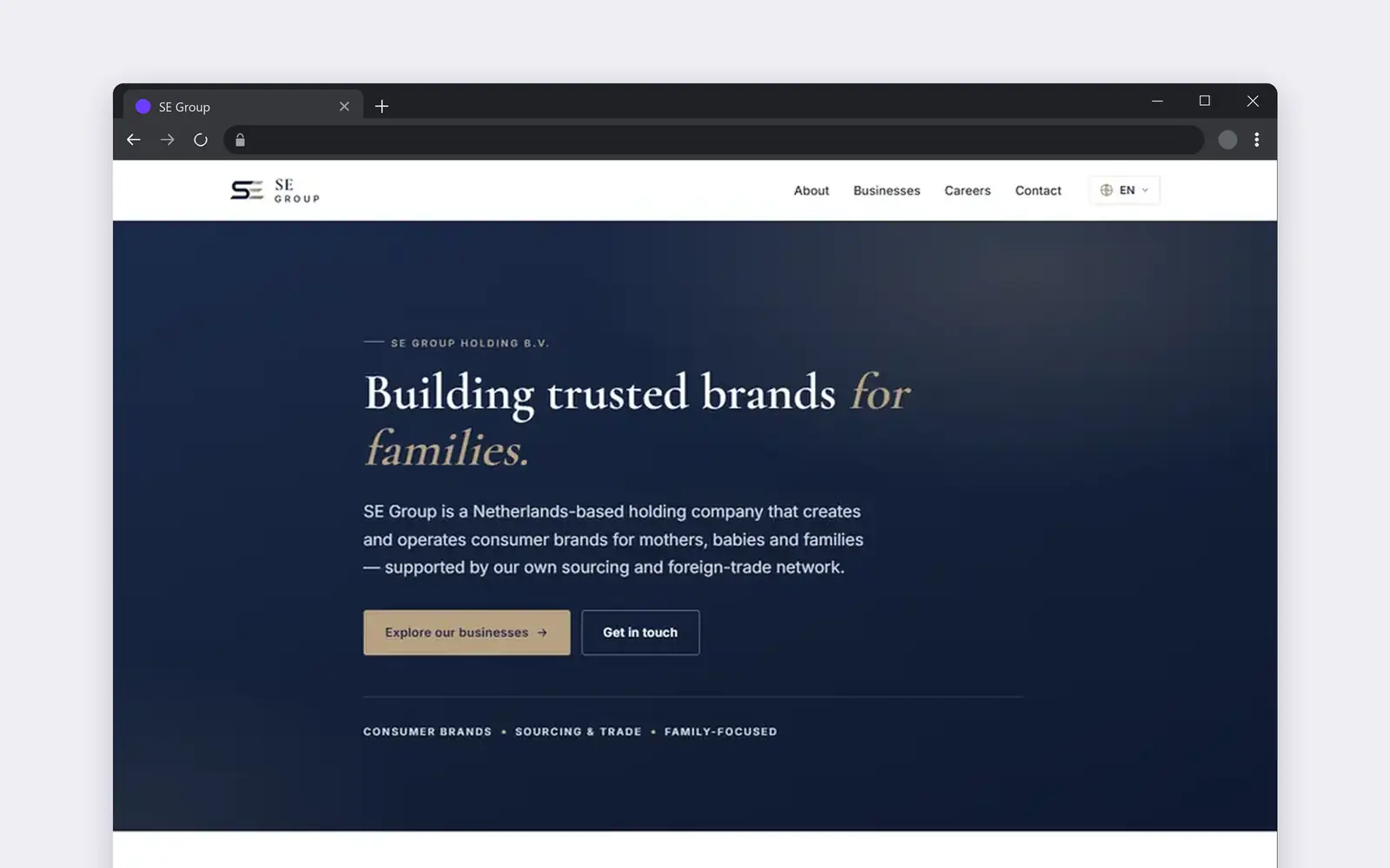 Website der SE Group